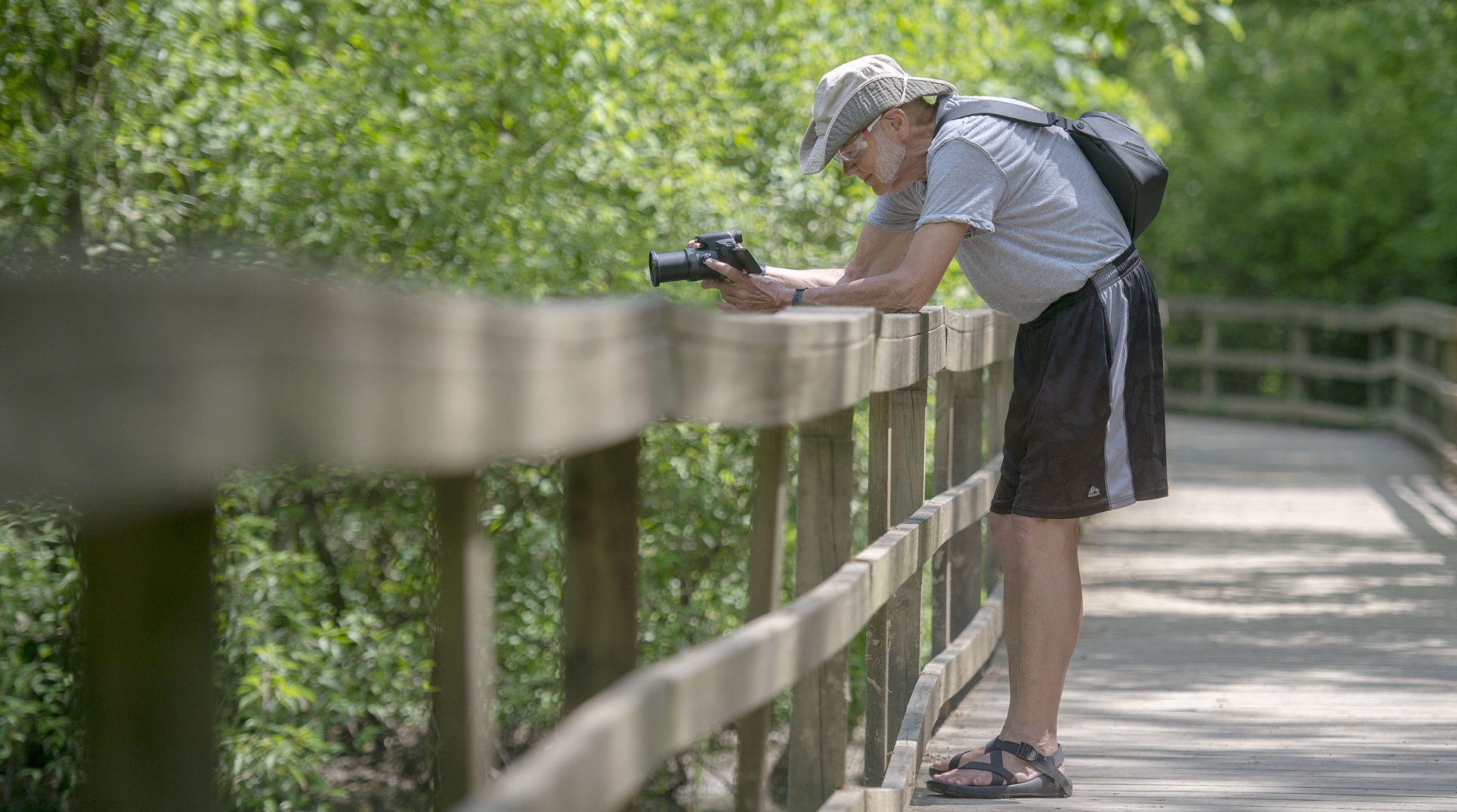 Bird Watching 01